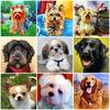 5D DIY Diamond Painting Dog Full Drill Square Diamond Embroidery Animal Needlework Beaded Mosaic Art Handmade Gift