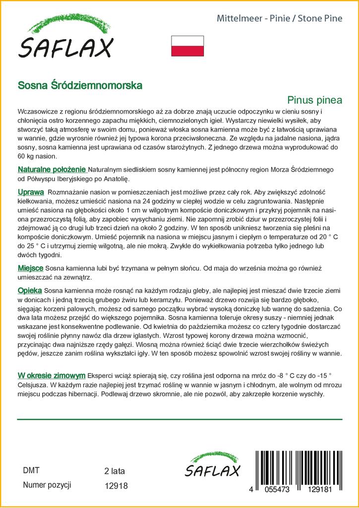 SAFLAX Сосна каменная - 6 семян - Pinus pinea