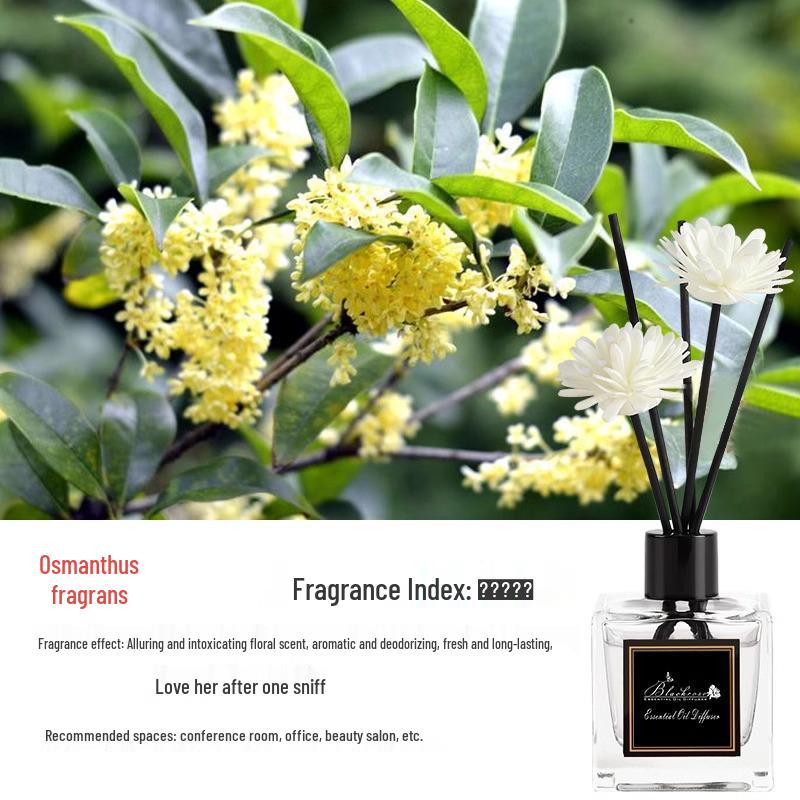 Беспламенный аромадиффузор с эфирными маслами для дома и ванной