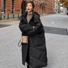 Autumn And Winter Thickened Down Cotton Coat Loose Coat for Women