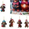 Dachshund Advent Calendar 2025 24 Days of Christmas Collectible Funny Dog Set 24 Days Xmas Countdown Calendar Gifts for Kids