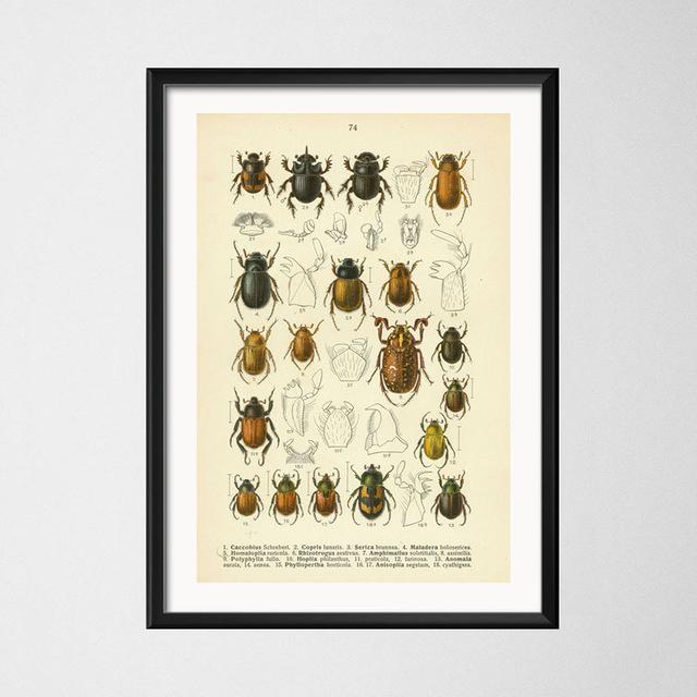 Винтажный стиль плакаты бабочка насекомое холст картины постеры и принты настенная художественная картина для гостиной домашний декор Cuadros