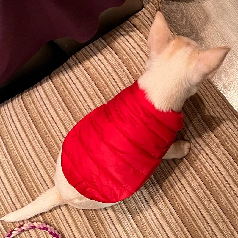 Warm Winter Dogs Clothes Puppy Dog Jacket Coats Chihuahua French Bulldog Outfits Vest Pug Shih Tzu Clothing Dog Supplies