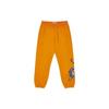 Palace Спортивные штаны с драконом P23JG062
