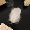Pearl White Swan Hairpin Balletcore Ballet Pearl Barrettes Jewelry Feather Hair Clips  Women