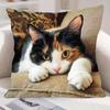 Милые Чехлы на Подушки из Серии Домашние Животные, Домашние Чехлы на Подушки Плюшевые с Имитацией Вышивки для Дивана