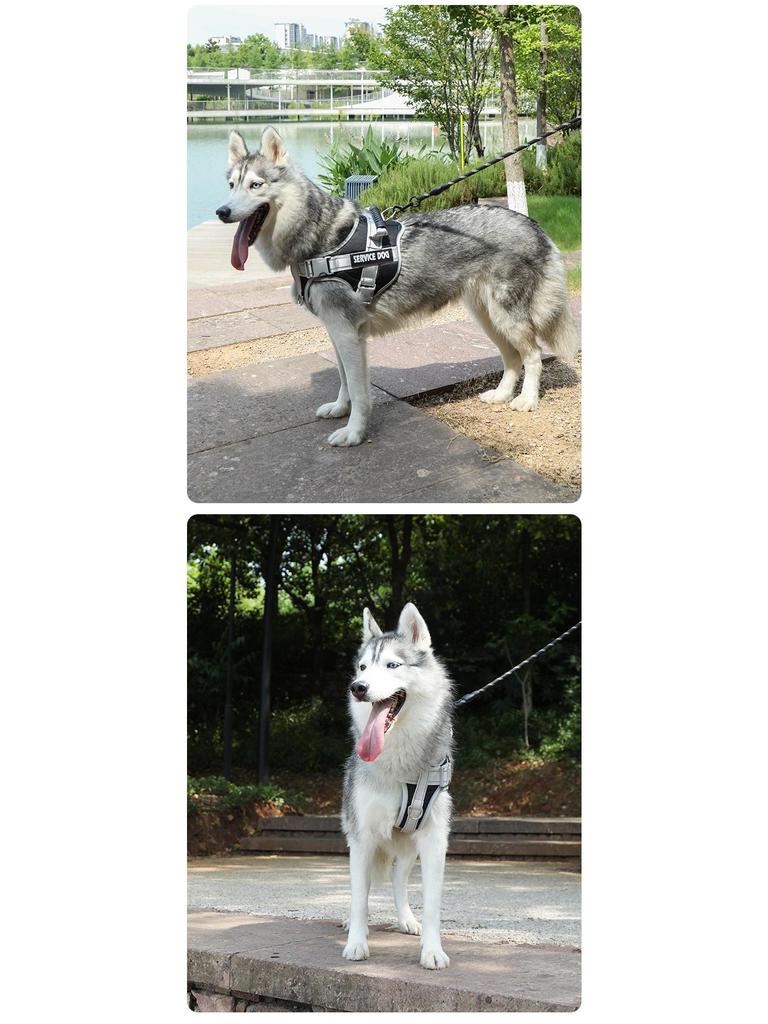 Шлейка для собаки в стиле седла K9 и поводок - Взрывозащищенная, для средних/крупных пород, бордер-колли, золотистый ретривер