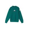 PALACE X EQT Свитшот 'Зеленый' HK2135