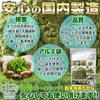 Natural Life Premium Versatile Organic Uji Matcha Powder (100g) Kyoto Prefecture Origin Baking Cooking Confectionery Practice Latte Commercial Use JAS