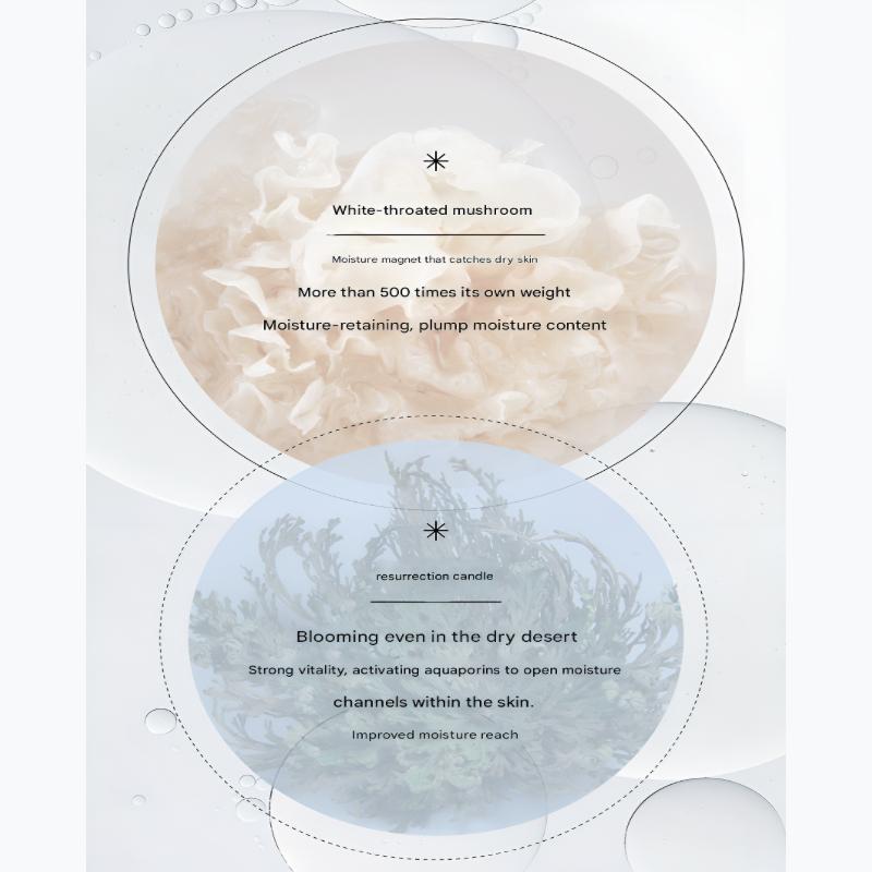 AGE20’s Skin-Fit Hydra Солнцезащитный крем+ SPF50+, PA++++ (50мл)