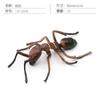 Simulation Of 16 Insects, Animal Models, Butterflies, Beetles, Spiders, Ants, Dragonflies, Cockroaches, Oxen Shields, Bugs, Static Ornaments