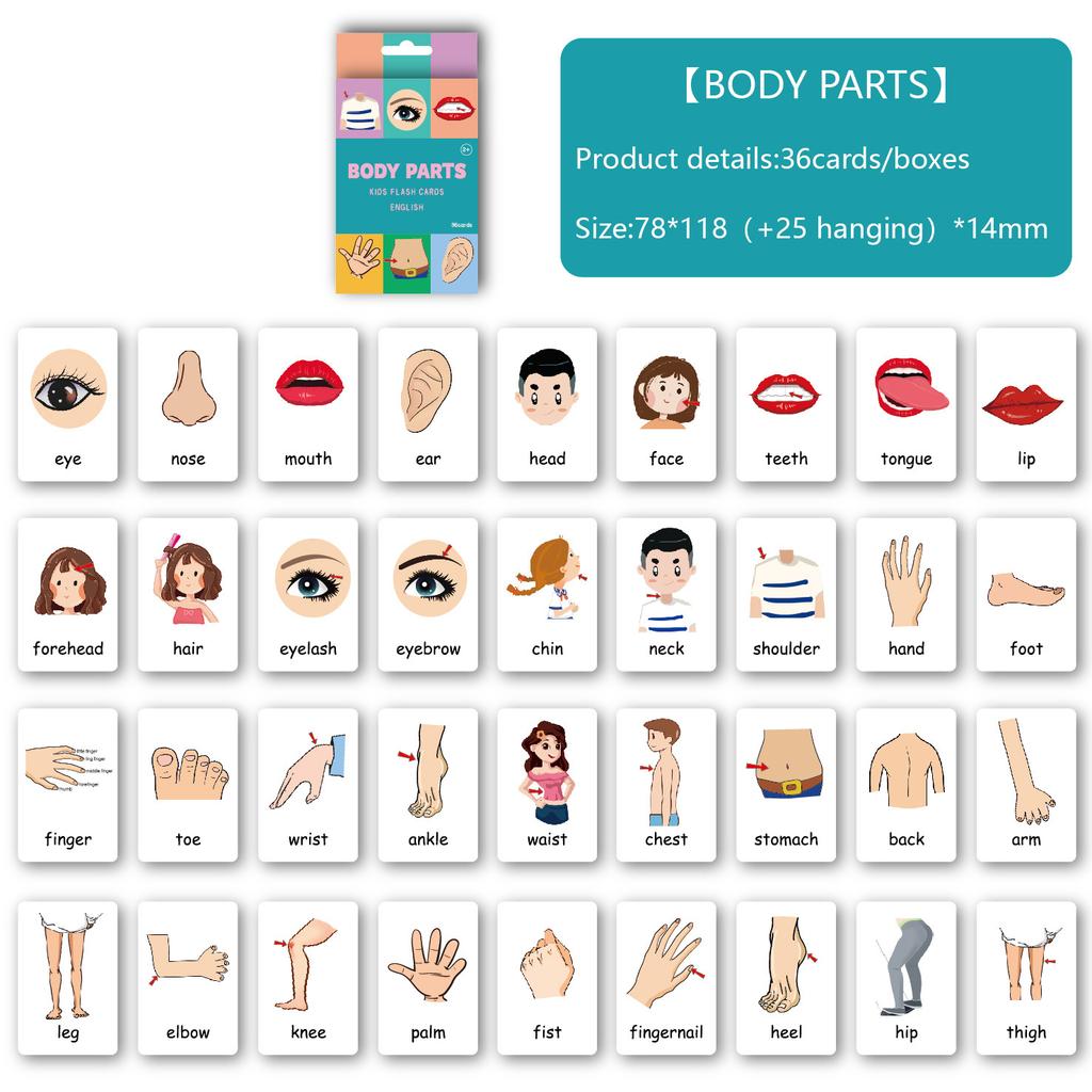 36PCS/Set Animal Shape Color Time Flash Card Kids Montessori Early Education Learning Educational Toys For Children Gifts