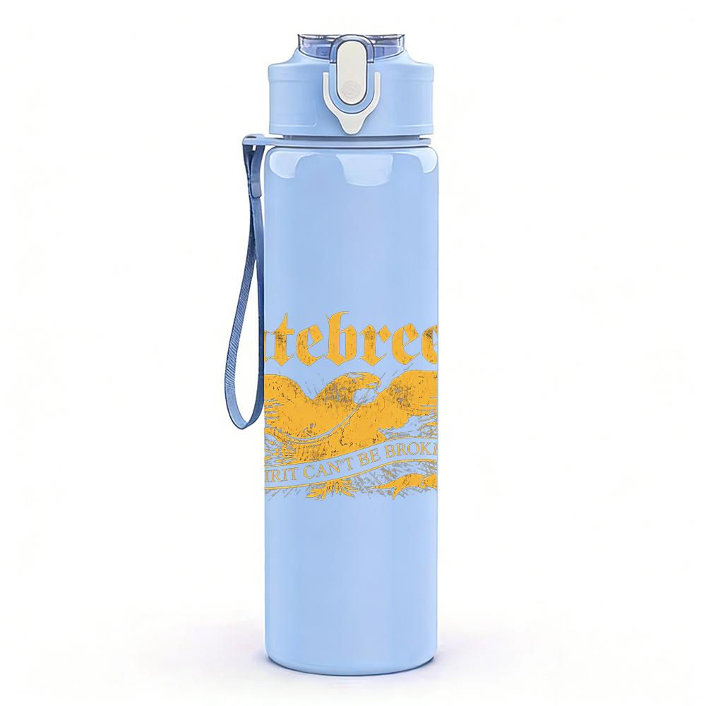 PC Multi Male Band Color Collage Print 750ml colorful plastic sports water bottle leakproof pop up lid with straw for outdoor work home use