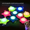Waterproof LED Glowing Pendant Night Safety Pet Night Walk Light New Flashlight Dog Collar  Camping