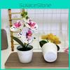 Flower Botanical Phalaenopsis Props For Bridal Events And Decor Party