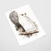 Poster Owl Owls Vintage