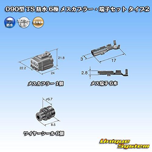Sumitomo Wiring Systems 090 type TS waterproof 6-pole female coupler/terminal