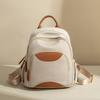 Oxford Cloth Backpack Female Spring and Summer Simple Large Capacity Leisure Small Backpack
