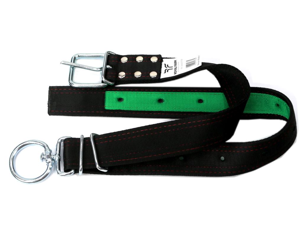 Wide collar, 120 x 5 with 8 swivel, Royal Farm