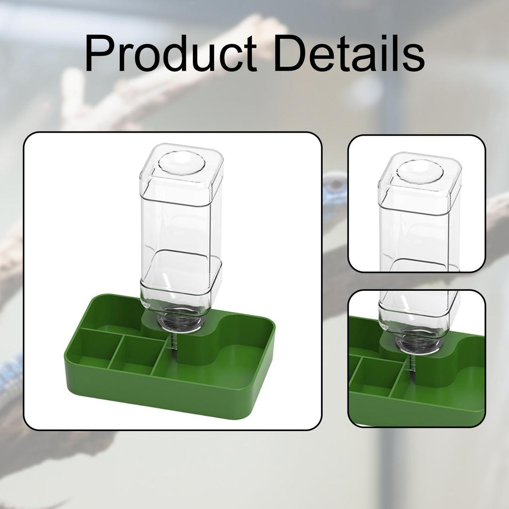 Reptile Feeder Amphibians Accessory Multi Compartments Automatic Water Dispenser for Chameleon Snake Gecko Turtle Tortoise