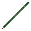 Holbein Artist Colored Pencil OP264 Holy Green 20264 (Oil-based)