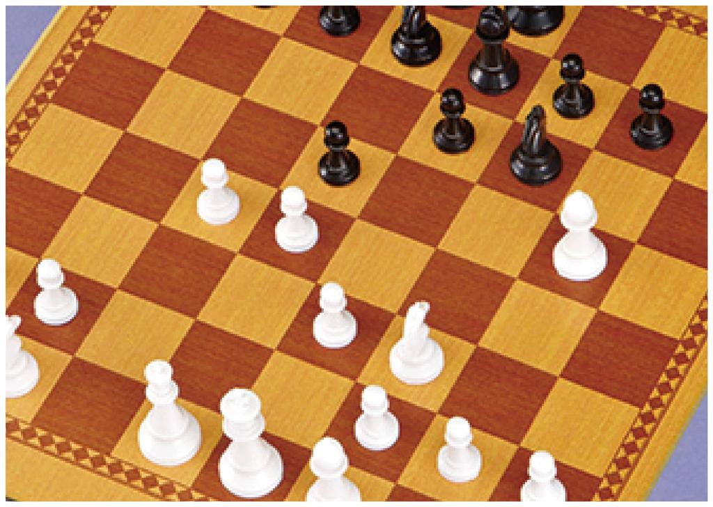 Hanayama Игровой стадион Стандарт