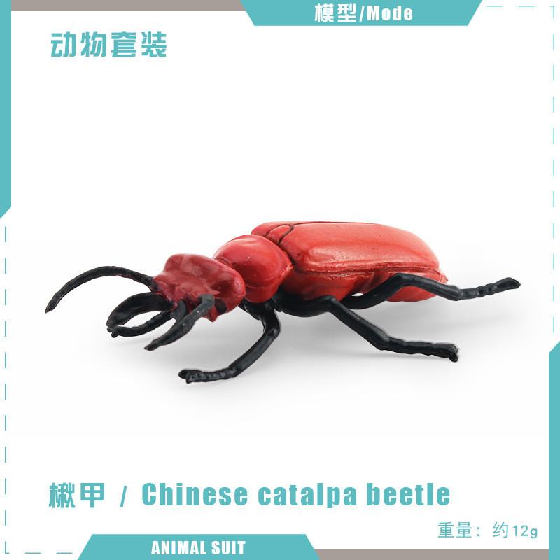 Realistic Pvc Insect Model Set Including Rhinoceros Beetle And Dragonfly For Decoration