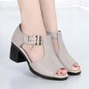 Fish Mouth Sandals Women's Summer New Roman Women's Thick Heel Medium Heel Women's Shoes