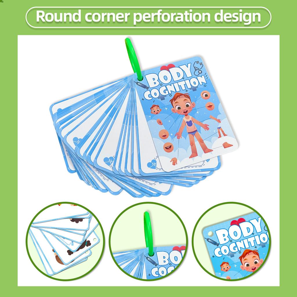 36 Карточек для познания тела Детское просвещение Образовательные познавательные карточки Обучающие карточки