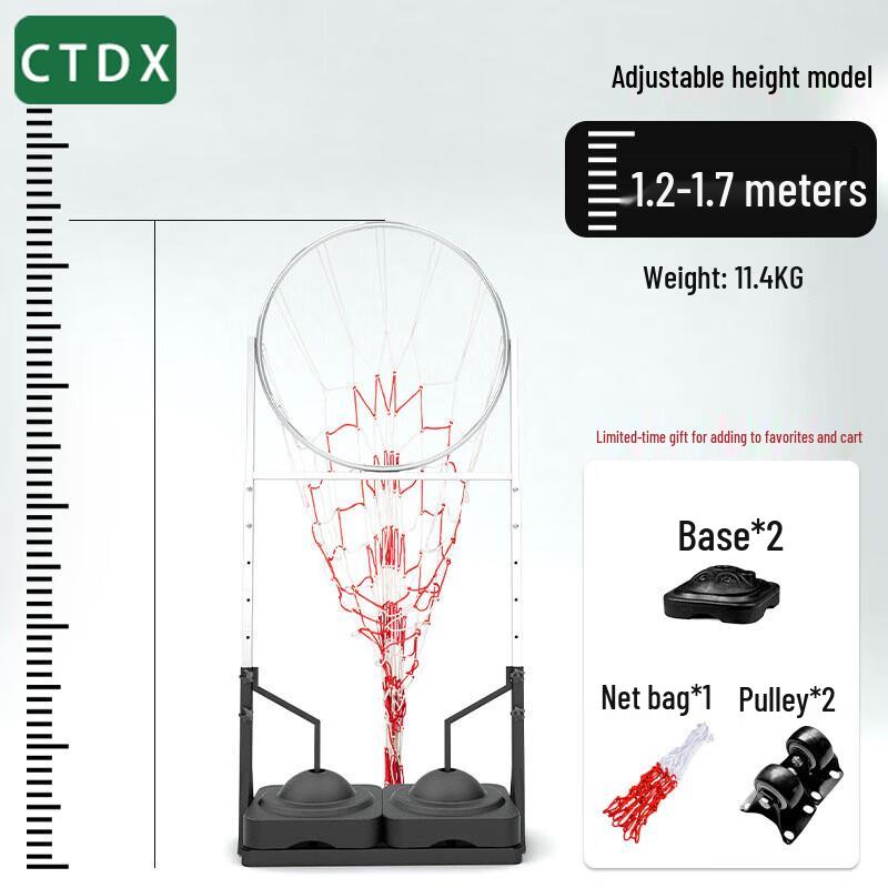 CTDX Basketball Passing Trainer