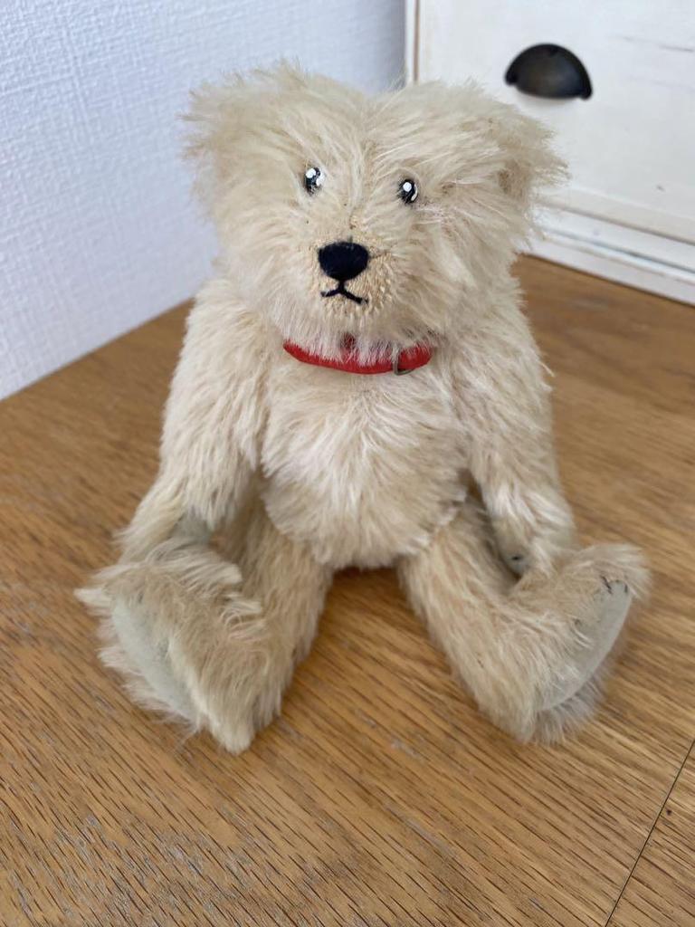 [USED] Teddy Bear