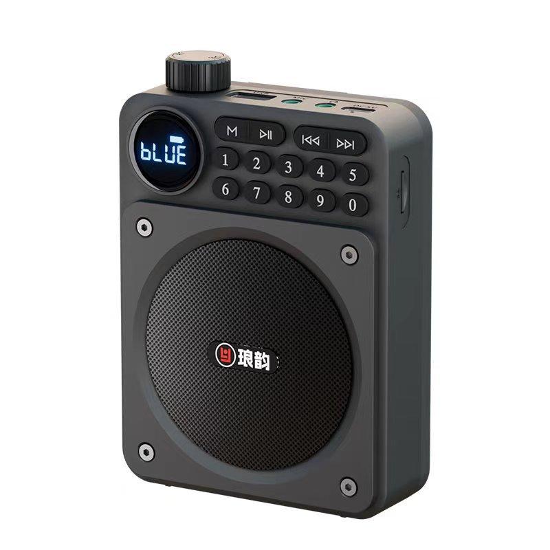 Мини Цифровое FM Радио HD Дисплей 76-108 МГц Радио Беспроводной Bluetooth 5.3 Динамик Портативный Усилитель Голоса с Слотом для TF-карты USB