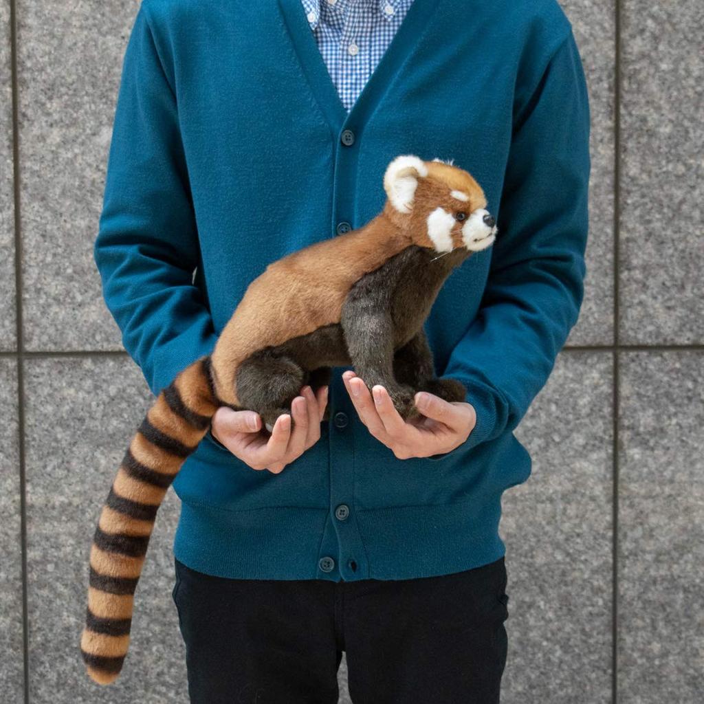 BH6301 HANSA Red Panda 61