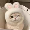 Модная Удобная Шляпа для Питомца с Ушками Зайчика Кошачья Шляпа на Липучке Очаровательные Аксессуары для Питомцев Легкая Кепка для Кошек