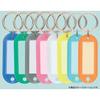 KOKUYO Keychain Type Name Tag for Double-sided Display, Large Pack of 10, Light Blue Nuff-210LBX10