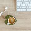 2PCS Cute Monstera Coasters, Soft Silicone Coaster for Drink, Fun Plant Cup Coasters for Desk, Creative 3D Green Turtle Leaf Drink Coaster, Tropical