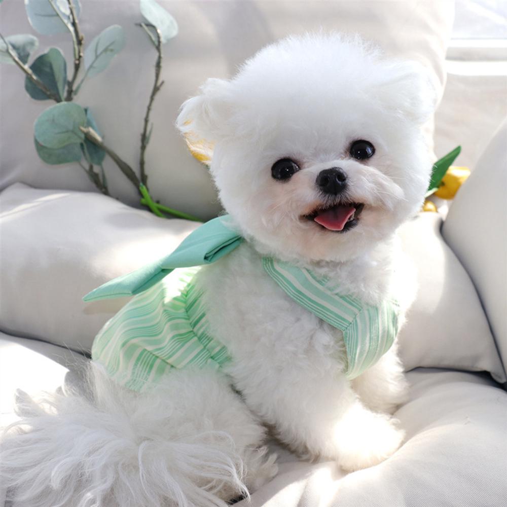 Летняя юбка для щенков, платье с пряжкой, милая полосатая одежда для маленьких собак, пинчеров, мальтийских болонок, талисманов, платья disfraz perro