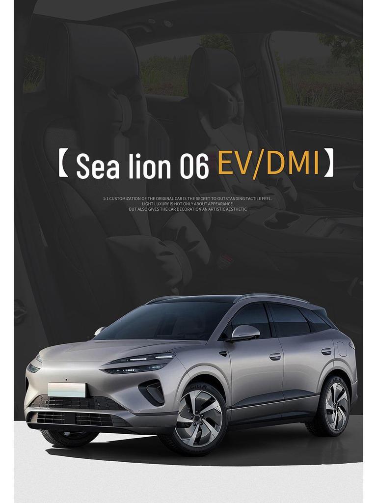 Всесезонные кожаные чехлы и подушки для сидений BYD Sea Lion 06 EV/DMi – Полное покрытие