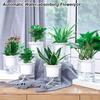 1Pcs Self Watering Hydroponic Planter  for Green Dill Succulents Travel Essentials