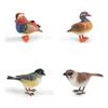 Animal Figure Desk Ornament With Static Design For Science Education And Bird Lovers