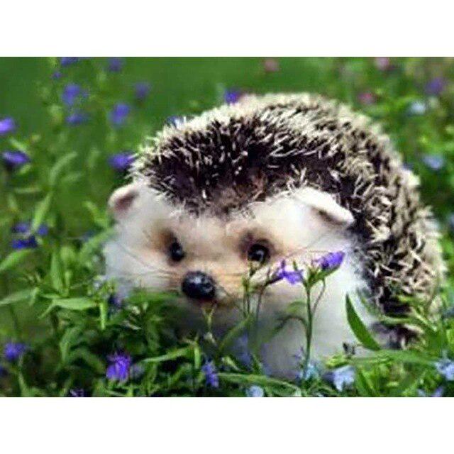 DIY 5D Алмазная картина Ежик Грибная корзина Вышивка крестиком Полный круглый Алмазная вышивка