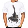 New Summer Funny Scorpion 3d Printing Men Ladies Kids Short Sleeve Hip Hop Streetwear Breathable Lightweight Tops Fitness