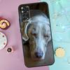 Weimaraner Dog Case For Xiaomi Redmi Note 9 10 11 12 13 14 Pro 9S 10S 11S 12S Redmi 14C 10C 12C 13C Cover