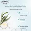 CHANDO Scalp Care Oil Control Anti-Dandruff Shampoo