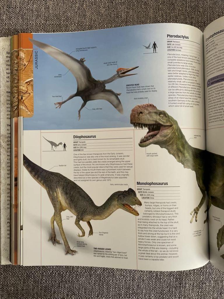 [Б/У] DK Foreign Books Твердый переплет ДОИСТОРИЧЕСКИЙ Твердый переплет