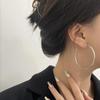 2024 Trendy European & American Large Hoop Earrings for Women: Simple, Chic, and Stylish Design