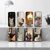 Чехол для телефона F-Funny C-Cat, черный, силиконовый, мягкий, для Samsung Galaxy A73, A72, A71, A70, A53, A52, A51