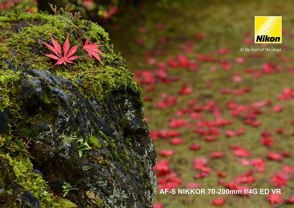 Nikon Телеобъектив с переменным фокусным расстоянием NIKKOR ED VR, совместимый с полноразмерными объективами AF-S 70–200 мм f/4G