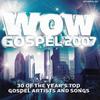 CD РАЗНЫЕ ИСПОЛНИТЕЛИ - Wow Gospel 2007  88697024992 Zomba Label Gro 2007 US Блюз Б/У