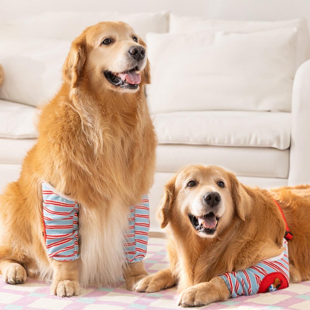 Striped Design Dog Elbow Brace Cartoon Pattern Dog Leg Warmers Dog Knee Pads Autumn Winter